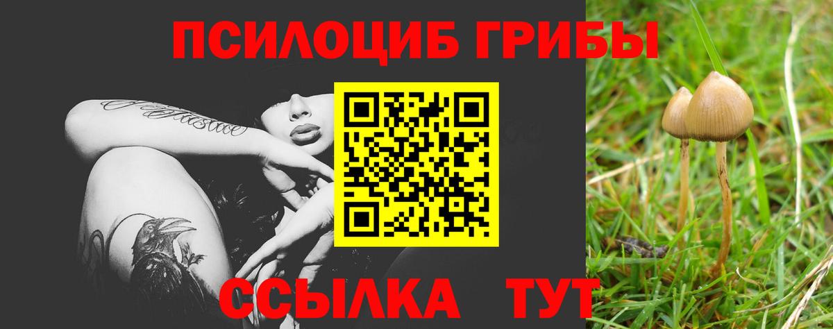 Псилоцибиновые грибы ЛСД Бийск