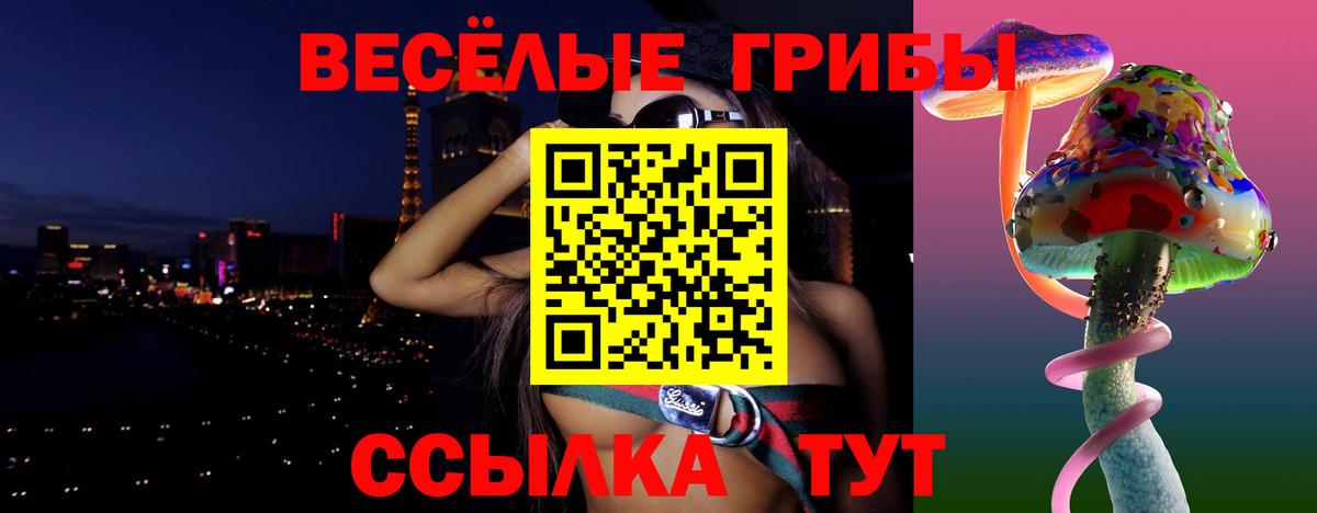 Псилоцибиновые грибы MAGIC MUSHROOMS  Вход с VPN  Бийск 
