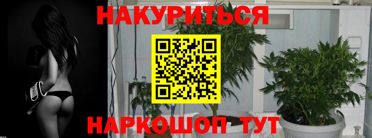 Бийск  Шишки марихуана сатива  Конопля семена  Вход с VPN 